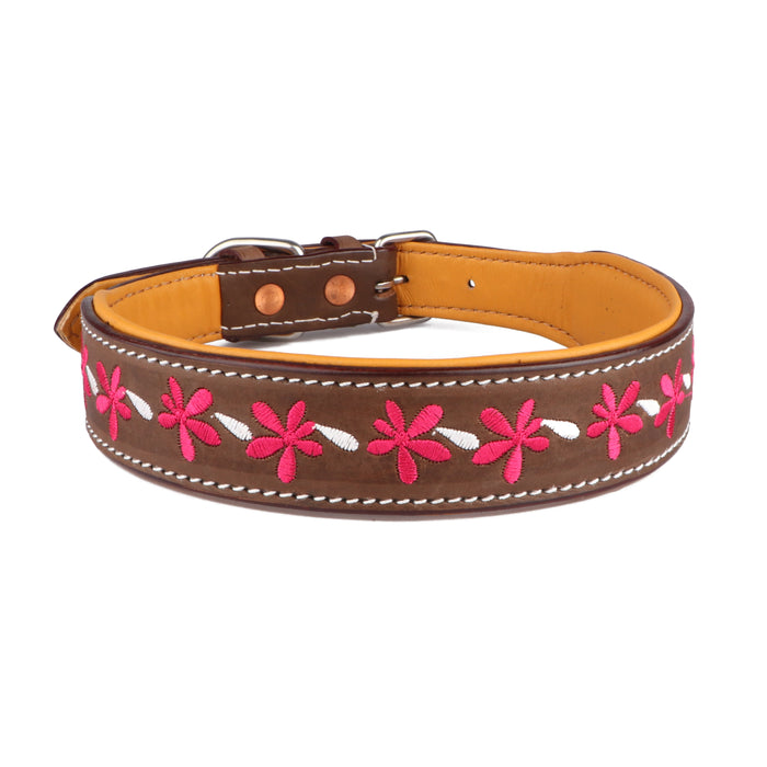Challenger 100% Cow Leather Floral Embroidered Padded Dog Collar 60BT04