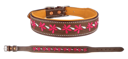Challenger 100% Cow Leather Floral Embroidered Padded Dog Collar 60BT04