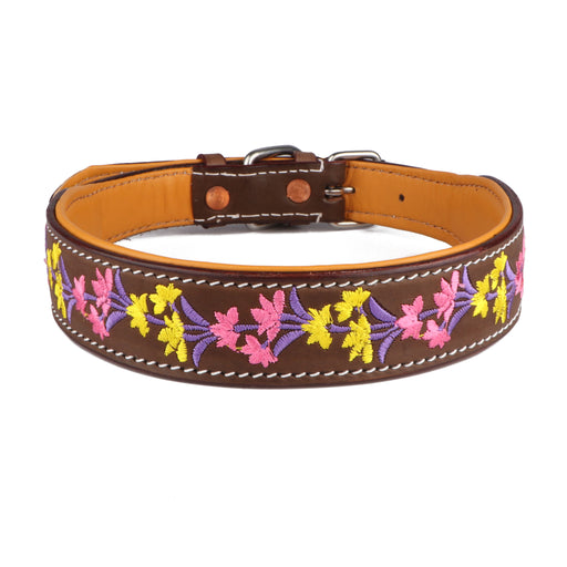 Challenger 100% Cow Leather Floral Embroidered Padded Dog Collar 60BT06