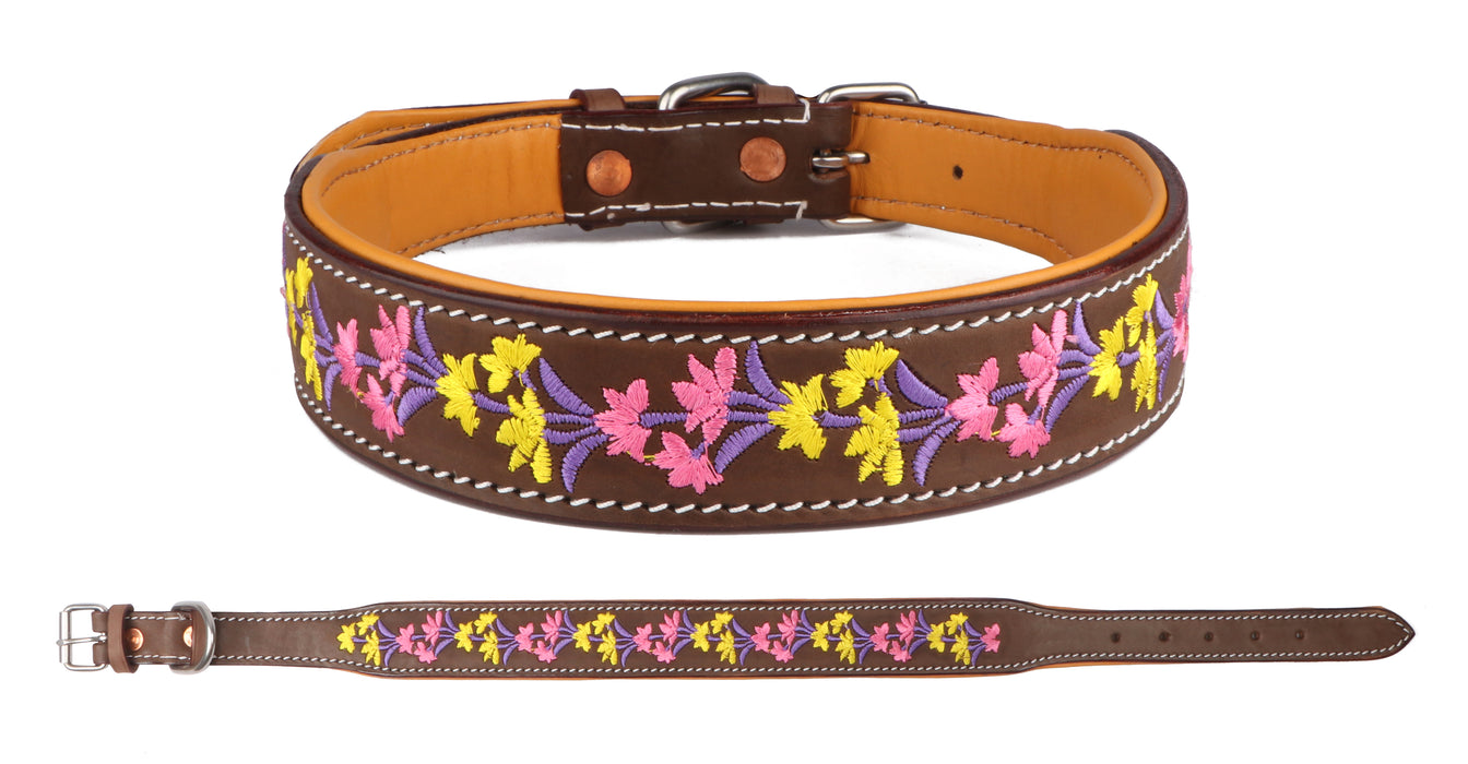 Challenger 100% Cow Leather Floral Embroidered Padded Dog Collar 60BT06