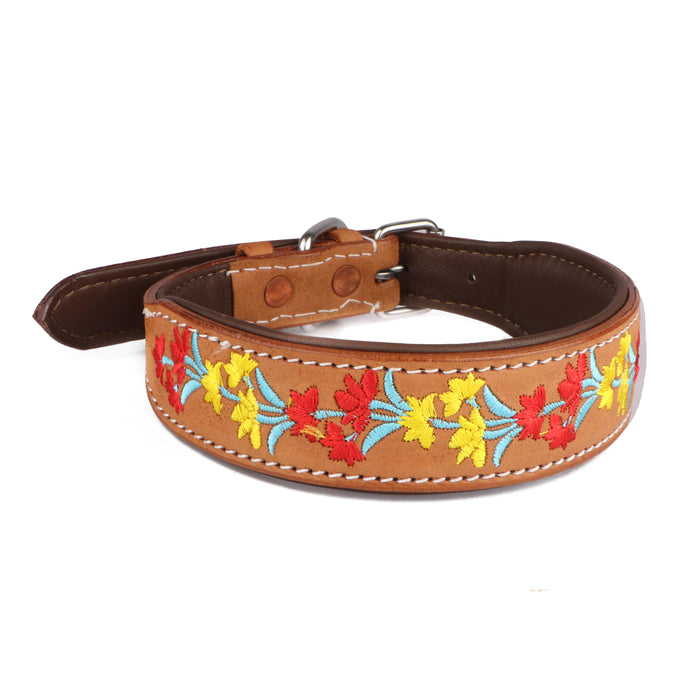 Challenger 100% Cow Leather Floral Embroidered Padded Dog Collar 60BT07