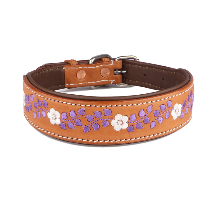 Challenger 100% Cow Leather Floral Embroidered Padded Dog Collar60BT11