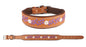 Challenger 100% Cow Leather Floral Embroidered Padded Dog Collar60BT11