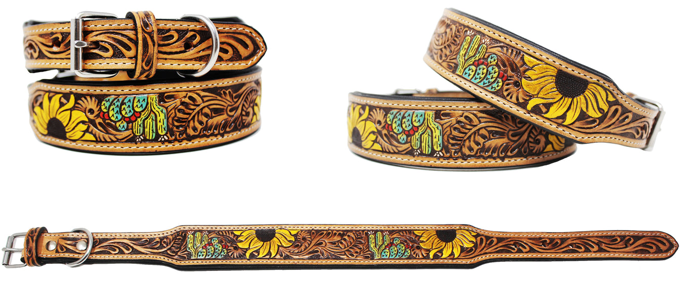 Dog Collars