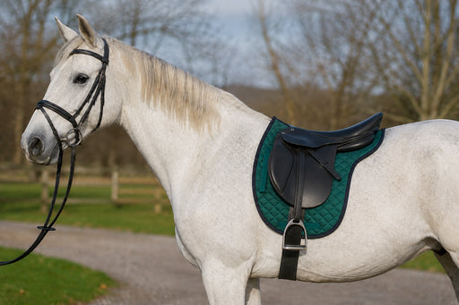 Horse Cotton Quilted Jumping ENGLISH SADDLE PAD Contoured Gel Hunter Green 72F24