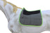 Horse Saddle Pad  English Quilted All-Purpose Shock Absorbing Neoprene 72TS18