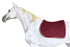 Horse English Quilted Contoured All-Purpose Trail Saddle Pad 72TS40