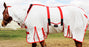 Horse   Mesh Summer FlySheet Spring Airflow   Neck White 73139