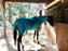 Horse Mesh Light Weight Summer FlySheet Spring Airflow Turquoise 73414