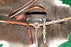 Horse Show Bridle Western Leather Headstall Breast Collar Tack Pink 76168