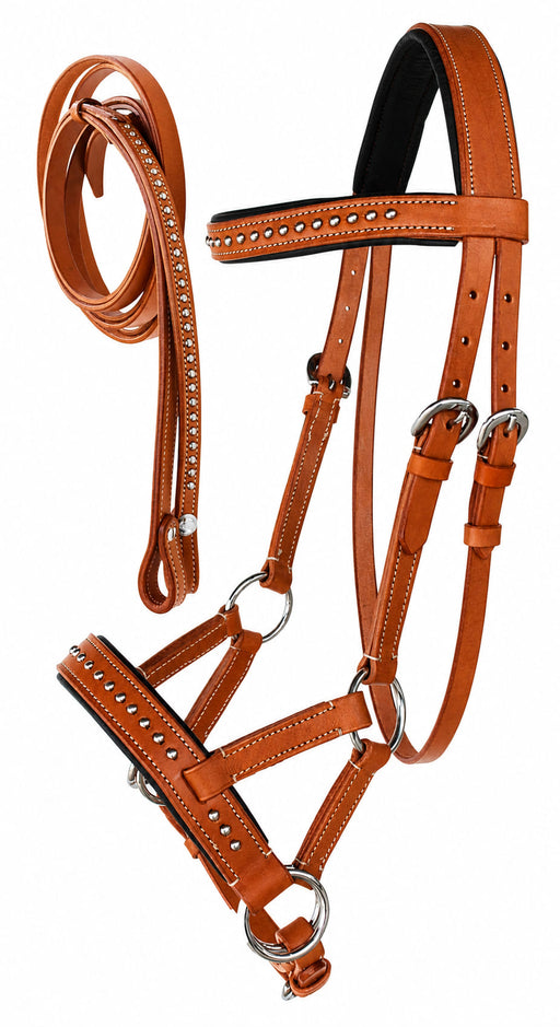 Horse Western Leather Training Tack Bitless Sidepull Bridle w/ Reins 7708TN-F