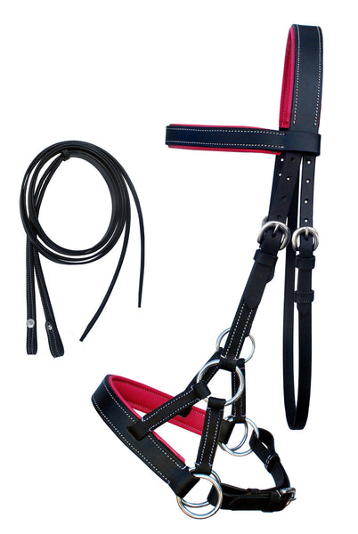 thumbnail image 2 of CHALLENGER Western Bitless Sidepull Bridle - Brown Leather Training Tack With Reins 2 of 4