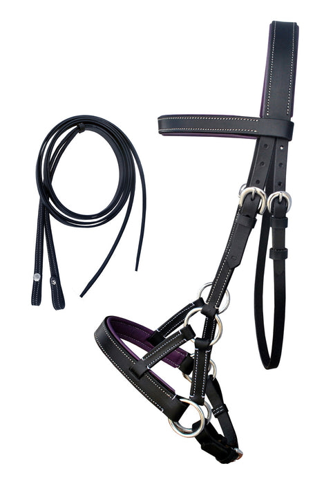 Horse Western Brown Leather Training Tack Bitless Sidepull Bridle Reins 7711