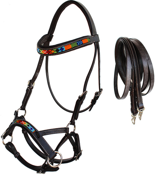 Horse Western Padded Leather Beaded Bitless Sidepull Bridle Reins 77RT15BR-F