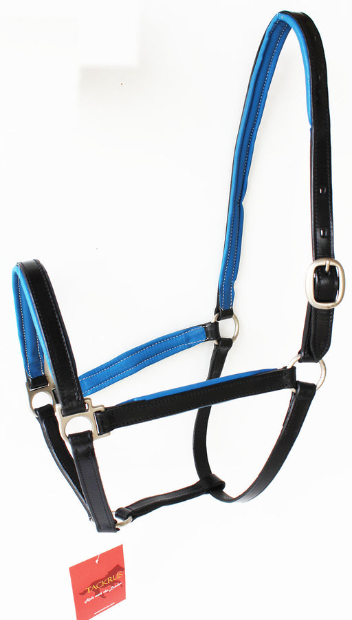 Horse English Padded Leather PONY Western  Show Halter 803209P