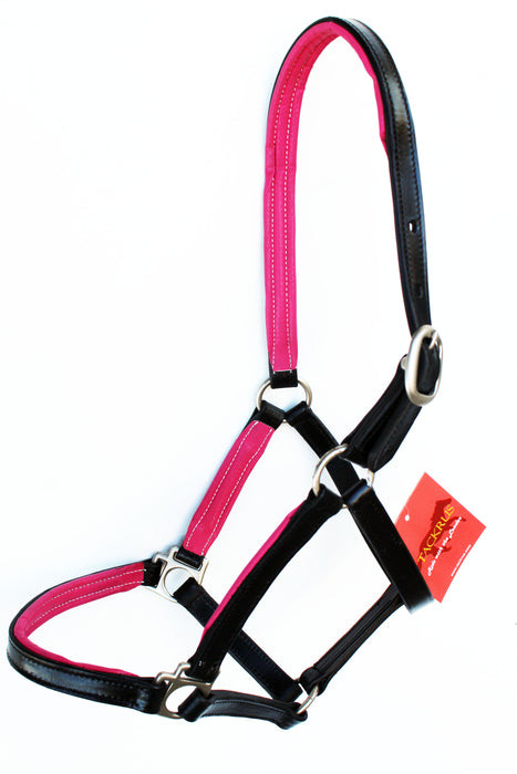 Horse English Padded Leather Western Show Halter Full 803209F — Challenger