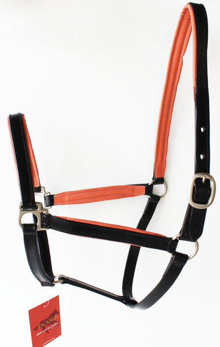 Horse English Padded Leather PONY Western  Show Halter 803209P