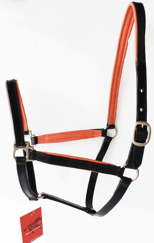 Horse English Padded Leather Western  Show Halter Full 803209F