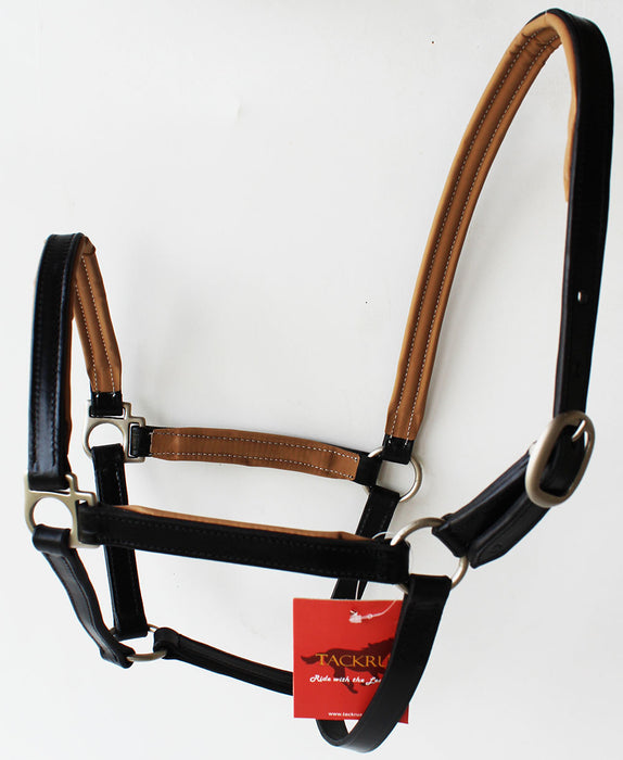 Horse English Padded Leather Western  Show Halter Full 803209F