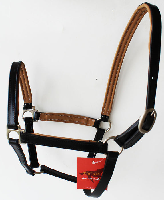 Horse English Padded Leather PONY Western  Show Halter 803209P