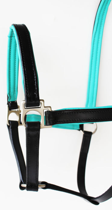 Horse English Padded Leather COB Western  Show Halter 803209C