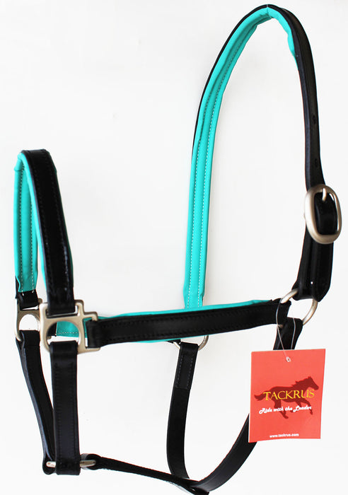 Horse English Padded Leather COB Western  Show Halter 803209C