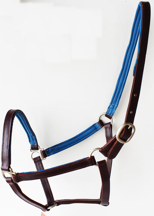 Horse English Padded Leather  PONY Western  Show Halter Tan 803H209P