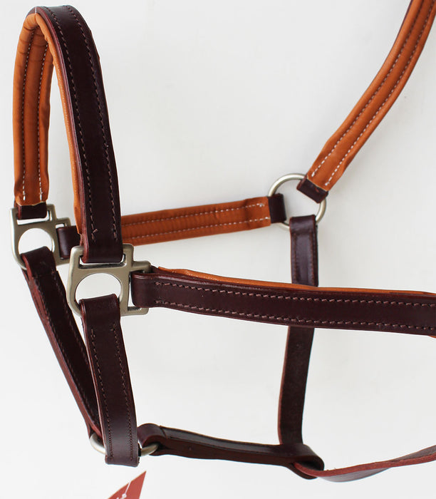 Horse English Padded Leather  Western  Show Halter Tan Full 803H209F