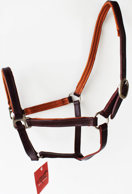 Horse English Padded Leather  COB Western  Show Halter Tan 803H209C