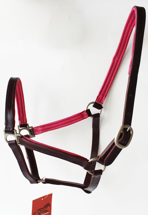 Horse English Padded Leather  COB Western  Show Halter Tan 803H209C