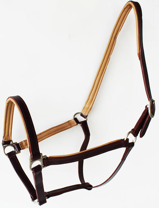 Horse English Padded Leather  COB Western  Show Halter Tan 803H209C