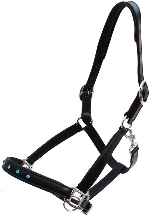 Leather Padded Show Halter w/ Turquoise Rhinestones 805LH01