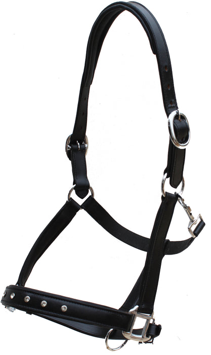 Leather Padded Show Halter w/ Clear Rhinestones 805LH02