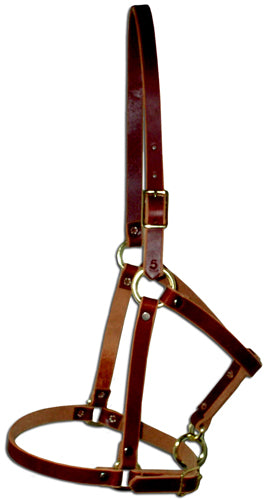 Horse Amish Western USA Hermann Oak Leather 975N040S