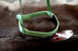Horse Show Bridle Western Leather Barrel Racing Tack Rodeo NOSEBAND  99111