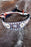Horse Bridle Western Barrel Racing Tack Rodeo NOSEBAND Orange 99201