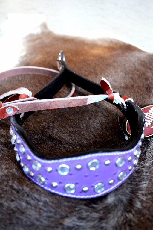 Horse Bridle Western Barrel Racing Tack Rodeo NOSEBAND Purple 99203