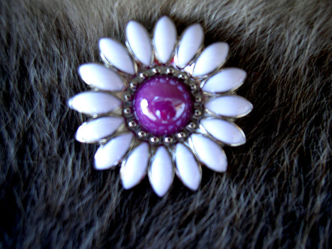 1-1/4" Set of 4 Purple Western Tack Belt Bag Jewelry Conchos Screw BackCO08