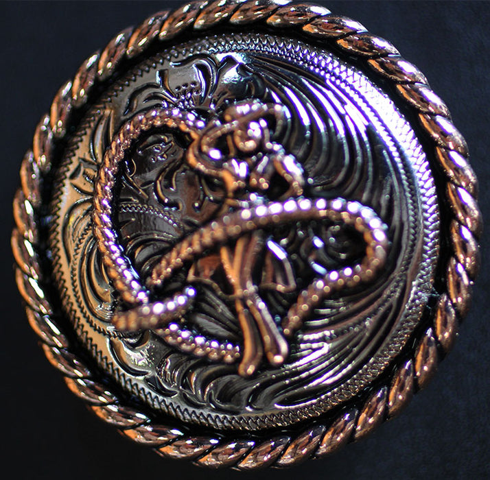 4 Conchos Concho Screw Back Horse Saddle Western Tack Bridle Roping Girl CO253