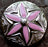 4 Conchos Rhinestone Horse Saddle Western  Pink CO104