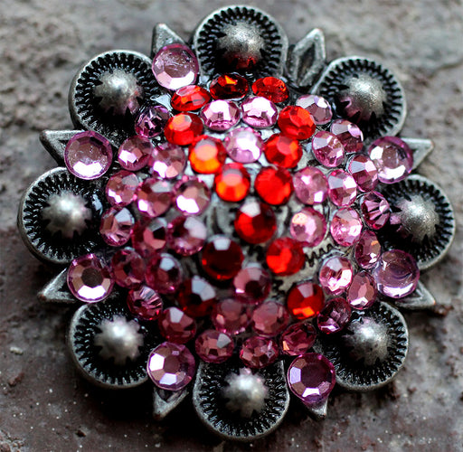 4 Conchos Rhinestone CRYSTALS Bling Horse Saddle Western  Berry Pink CO114