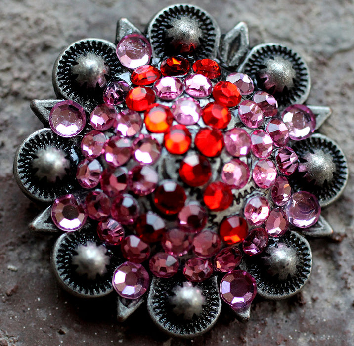 4 Conchos Rhinestone CRYSTALS Bling Horse Saddle Western  Berry Pink CO114