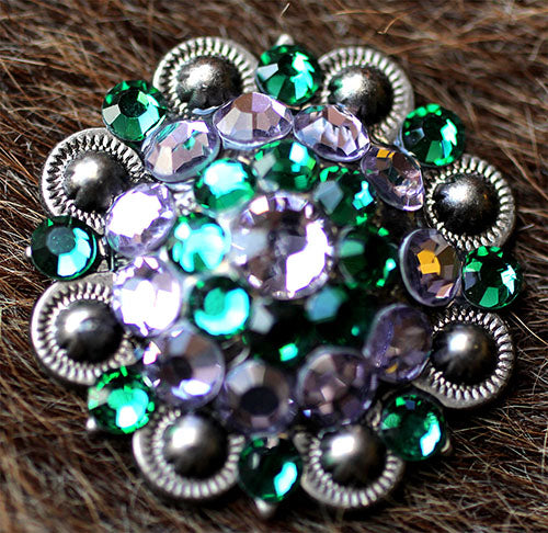4 Conchos Rhinestone Horse Saddle Western Berry Green & Purple CO17
