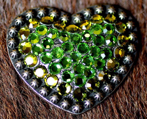 4 Conchos Rhinestone Horse Saddle Western  Heart CO25