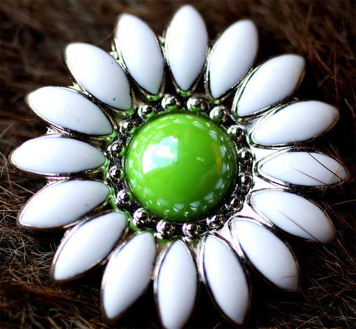 4 Conchos Rhinestone Horse Saddle Bridle Tack Rodeo Western Green Floral CO28