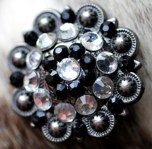 Set 4 Conchos Rhinestone Horse Saddle Western Bridle Berry 1" Co369