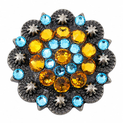 4 Conchos Rhinestone Horse Saddle Western  Berry CO66