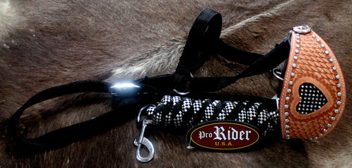 Horse  Noseband Tack Bronc Leather HALTER Tiedown Lead Rope  280260