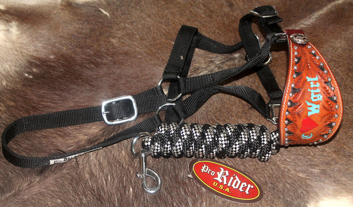 Horse  Noseband Tack Bronc Leather HALTER Tiedown Lead Rope  280281