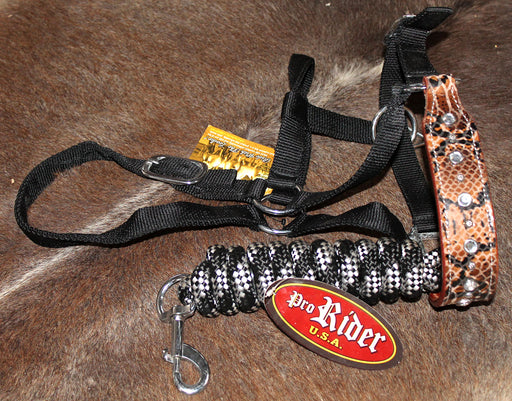 Horse  Noseband Tack Bronc Leather HALTER Tiedown Lead Rope  280303